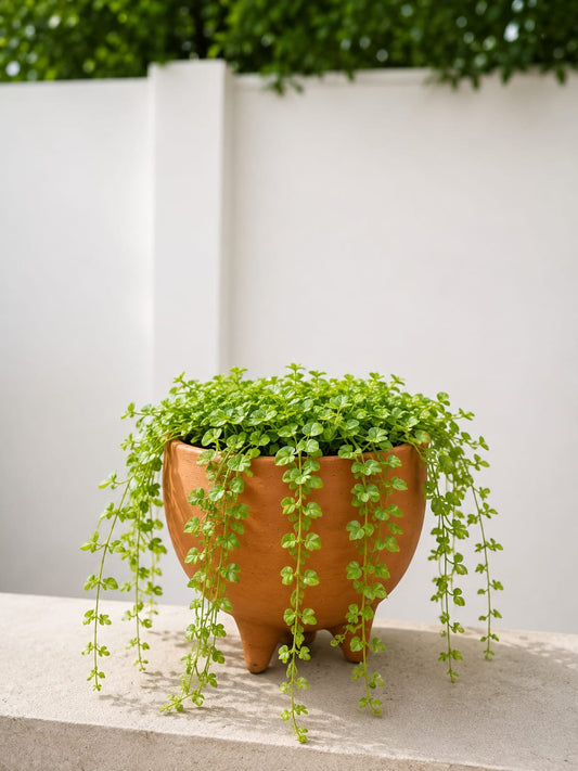 Tripada Planter – Handmade Elegance with an Organic Soul