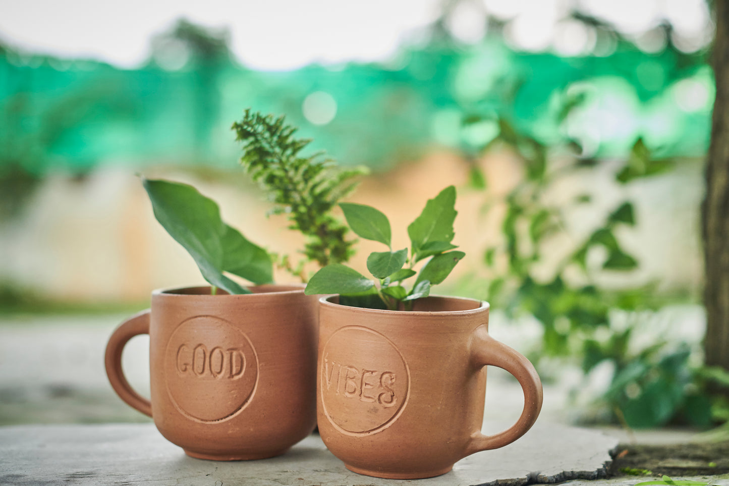 Good Vibes Planter – Bring Positivity to Your Space