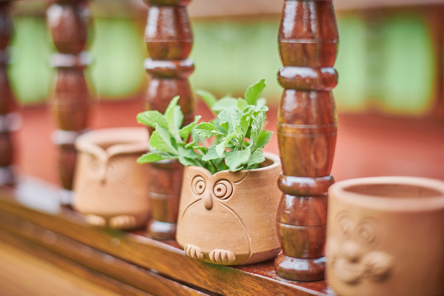 Emoji planter