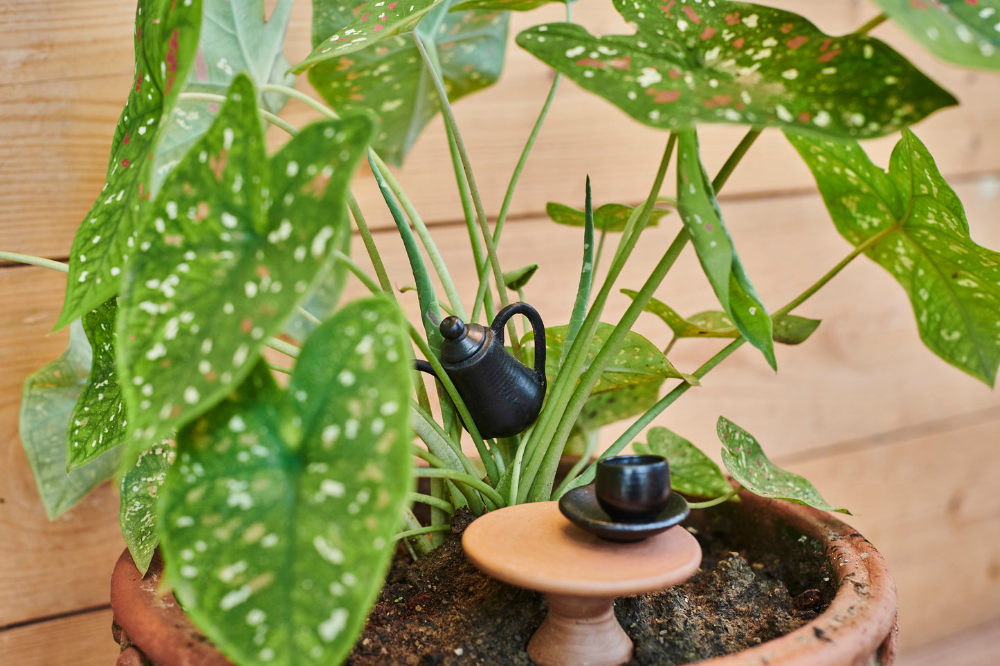 Miniature Terracotta Tea Set