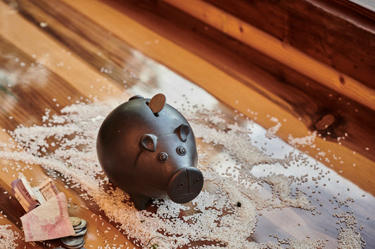 Terracotta Piggy Bank