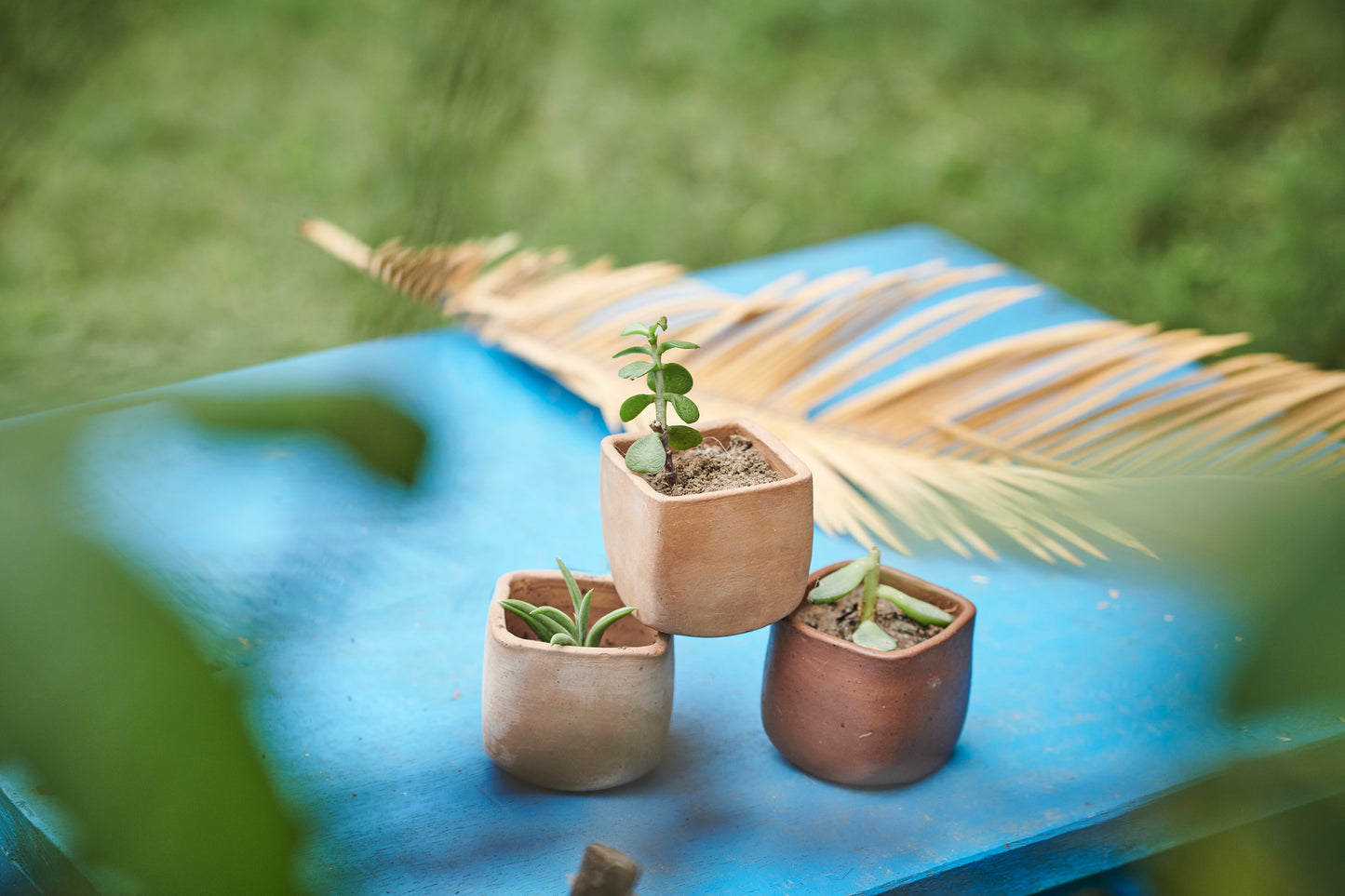 square mini planter