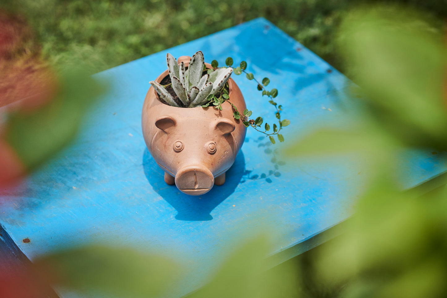 Piggy Planter