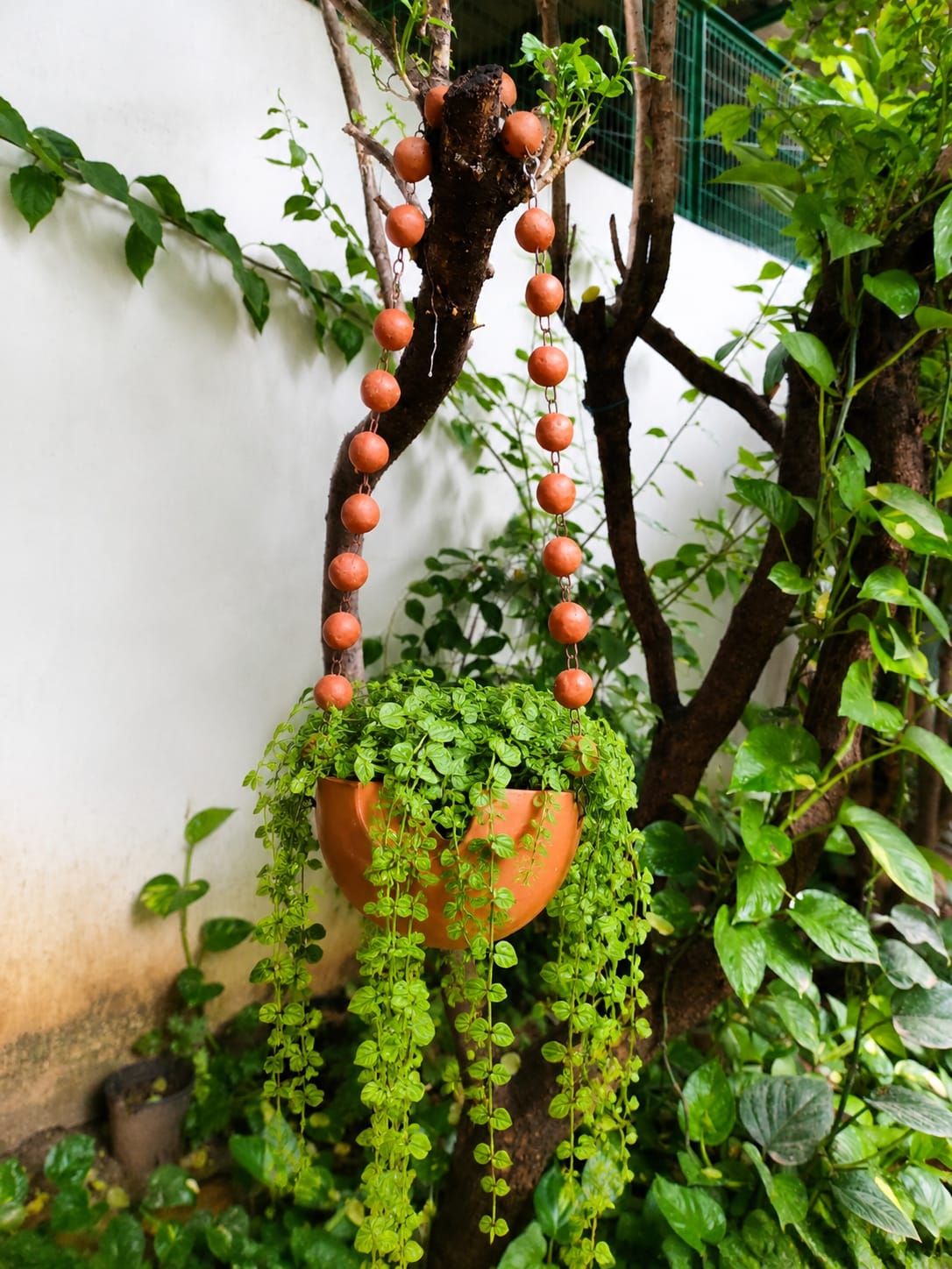 Meghdhanush Planter – Handmade with Nature's Touch